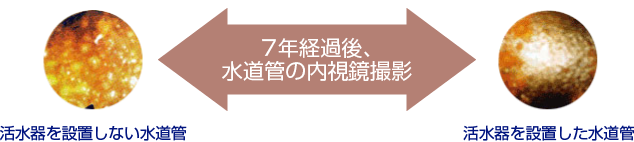 活水器を設置しない水道管と設置した水道管の7年経過後の内視鏡撮影